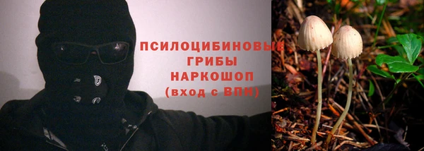 дмт Алексин