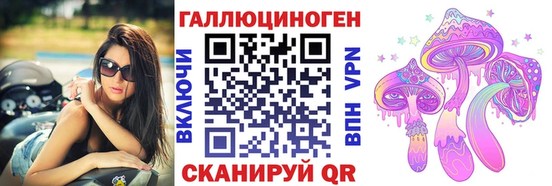 MEGA зеркало  цены наркотик  Абинск  Галлюциногенные грибы Psilocybe 
